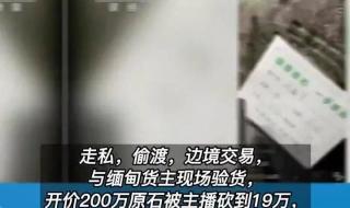 315晚会曝光产品2023