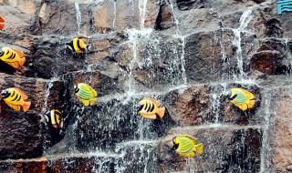 青岛海天大酒店 青岛海天大酒店